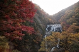「袋田の滝」のサムネイル画像