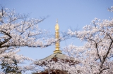 「無題」のサムネイル画像