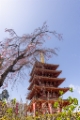 「無題」のサムネイル画像