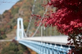 「竜神大吊橋」のサムネイル画像