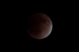「無題」のサムネイル画像
