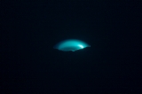 「浮上」のサムネイル画像