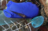 「無題」のサムネイル画像