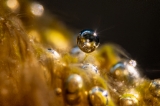 「無題」のサムネイル画像