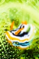 「無題」のサムネイル画像