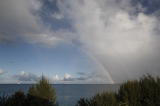「double rainbow」のサムネイル画像