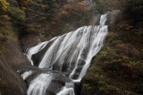 「袋田の滝」のサムネイル画像